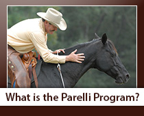 What is the Parelli Program